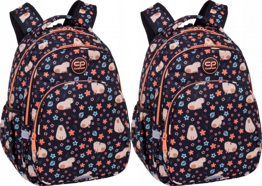 Školský batoh CoolPack Base Plus Capybara, dvojkomorový, 44x29x16cm - balenie 2 ks