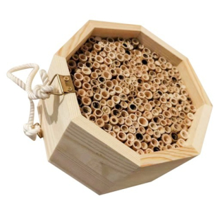 1 PC Prírodná drevená kopulačná krabica Bee Kró