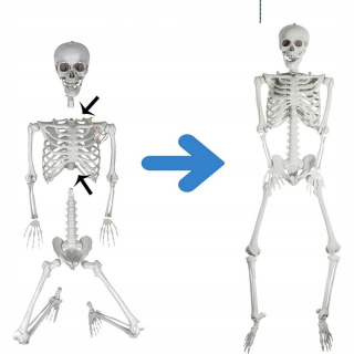 170cm KOSTRA ĽUDSKEJ KOSTRA LEBEKA LEBEKA HALLOWEENSKÁ DEKORÁCIA