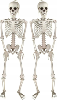2x ZÁVESNÉ KOSTRY 35cm KOMPLET KOSTRE OZDOBA HALLOWEENSKÉ DEKORÁCIE