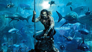 Aquaman Wall Sticker - plagát 40 cm K48