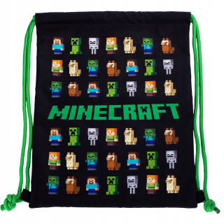 MINECRAFT - ASTRA BACKPACK Školská taška na struning
