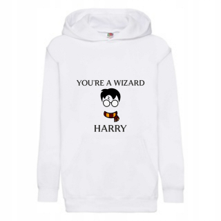 HARRY POTTER - Harry Potter Hogwart (170)