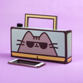 Pusheen - Boombox DIY PUSHEN TUMBY UP