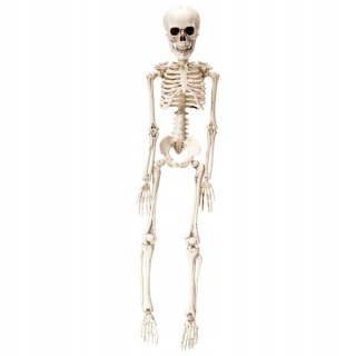 Widmann plastový závesný rám 50 cm