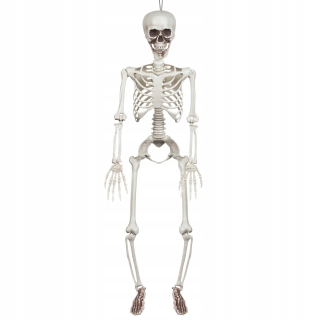 ZÁVESNÁ DEKORÁCIA SKELET 91 CM HALLOWEEN Skelet
