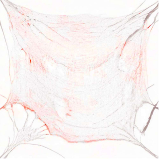 Dekoračný materiál s krvavými škvrnami 0,72x9,8m