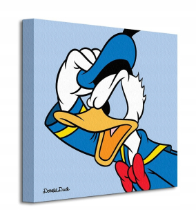 Káčer Donald - Disney Donald Blue Duck Image na Canvas 40x40cm