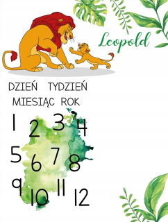 Leví kráľ - Foto mata simba, kráľ leva s menom