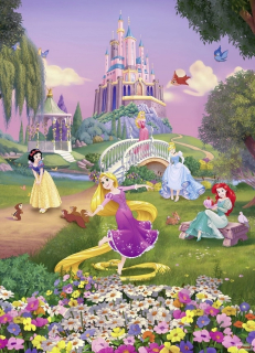 Nástenné nástenné maľby Disney Princess 184x254 cm