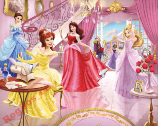 Nástenná nástenná princezná princezná 235x305cm ružová
