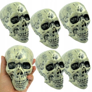 Halloweenska dekorácia Lebky 6 ks. Kostra lebky