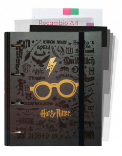 HARRY POTTER - Harry Potter Segregator 100 kariet A4 / 41mm 4 Ring