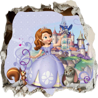 Princezna sofia - Jej výška Zosia princezná, diera v stene