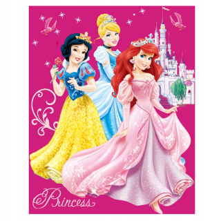 Deka deka fleece princezná disney 120x150cm