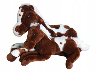 Kôň a ponytails poležiačky