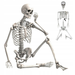 SKELETON závesná kostra strašidelná HALLOWEENOVÁ dekorácia 170CM