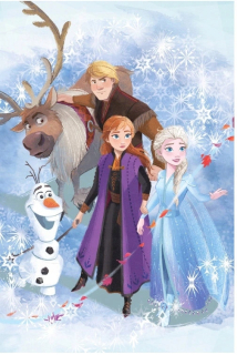 Elsa Frozen - Deka deka fleece plaid krajiny ľad mrazené elsa