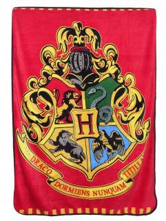 HARRY POTTER - Fleece deka 120x150 Harry Potter