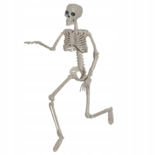 Skelet body Skelet halloween rekvizity H 160