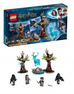 HARRY POTTER - LEGO 75945 Harry Potter očakávame