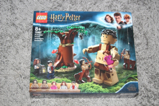 HARRY POTTER - Lego Harry Potter 75967 Zakázané Las Umbridge