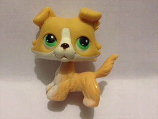 Littlest Pet Shop - LPS Collie Green Eyes Doprava s PL + Free