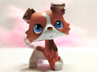 Littlest Pet Shop - LPS Collie Custom Made postavy Littlest Pet Shop