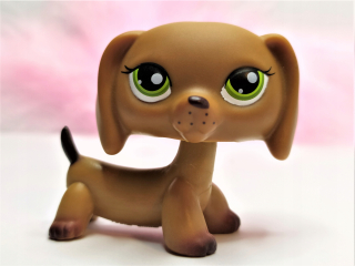 Littlest Pet Shop - LPS Dachshund Figúrka # 139 Littlest Pet Shop Express
