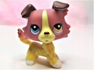 Littlest Pet Shop - LPS Dog Collie # 1262 Čísla Littlest Pet Shop PL