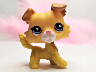 Littlest Pet Shop - LPS Collie Dog # 2452 Figurs Littlest Pet Shop