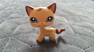 Littlest Pet Shop - LPS Shorthair # 1024 Unikátny - Littlest Pet Shop