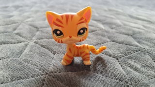 Littlest Pet Shop - LPS Shorthair # 1451 Unikátny - Littlest Pet Shop