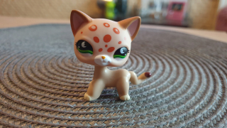 Littlest Pet Shop - LPS Shorthair # 852 Unikátny - Littlest Pet Shop