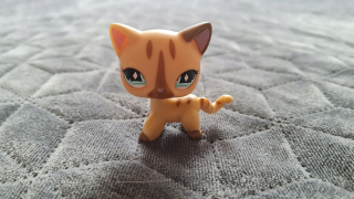 Littlest Pet Shop - LPS Shorthair # 886 Unikátny - Littlest Pet Shop