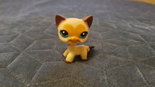 Littlest Pet Shop - LPS Shorthair S Heart # 3573 - Littlest Pet Shop