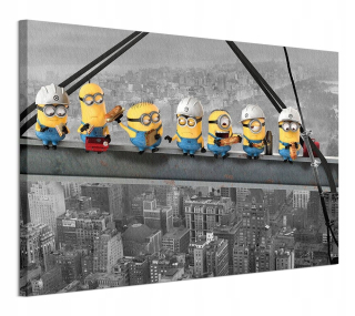 Mimoni - Minionki na lúčke na plátne 120x85 cm