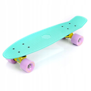 ND05_D0650 Skateboard Meteor Mint / Pastel Pink / 23