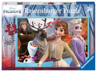 Elsa Frozen - ND17_PU-9538 Puzzle 35el 2D Land of Ice 050468 RAV