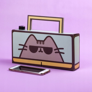 Pusheen - Nd38_pushboom Pushen - DIY Boombox 2 x reproduktor 3