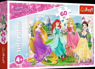 ND39_466758 -Puzzle 60L TREFL 17347 Obľúbené Ksie