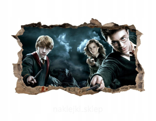 HARRY POTTER - Nálepka nálepky Harryho Potter Hole