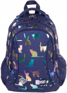 Detský batoh - BACKPACK MLÁDEŽ ŠTVORIČKOVÉ KITTIES BP-26 ST.RI