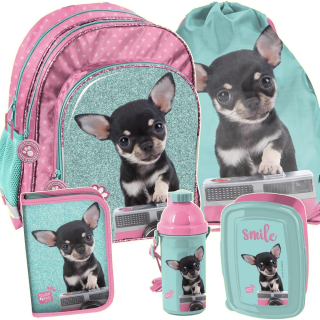 Školská taška - batoh, set, zostava - Školský batoh pes chihuahua dievčatá