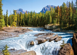 Puzzle krajina hory Forest River 9+ 1500 Castor