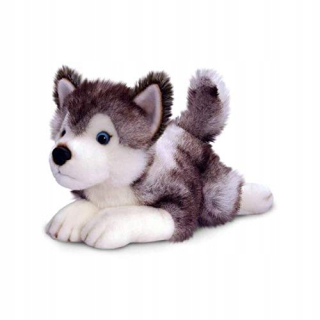 Pokémoni - Mascot Mascot Keel Hračky 35cm Storm Husky