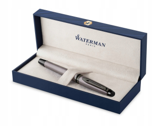 Plniace pero Waterman Expert Metalic Silver 21192