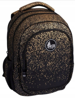 Školský batoh, taška - BACKPACK AB300 ZLATÝ DRAST HASH ASTRA