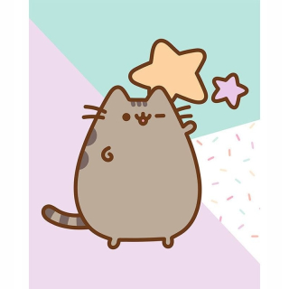 Pusheen - Pushen - obrázok s digitálnou potlačou (Pushen z GW