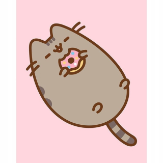 Pusheen - Pushen - obrázok s digitálnou tlačou (PAPEEN s PE